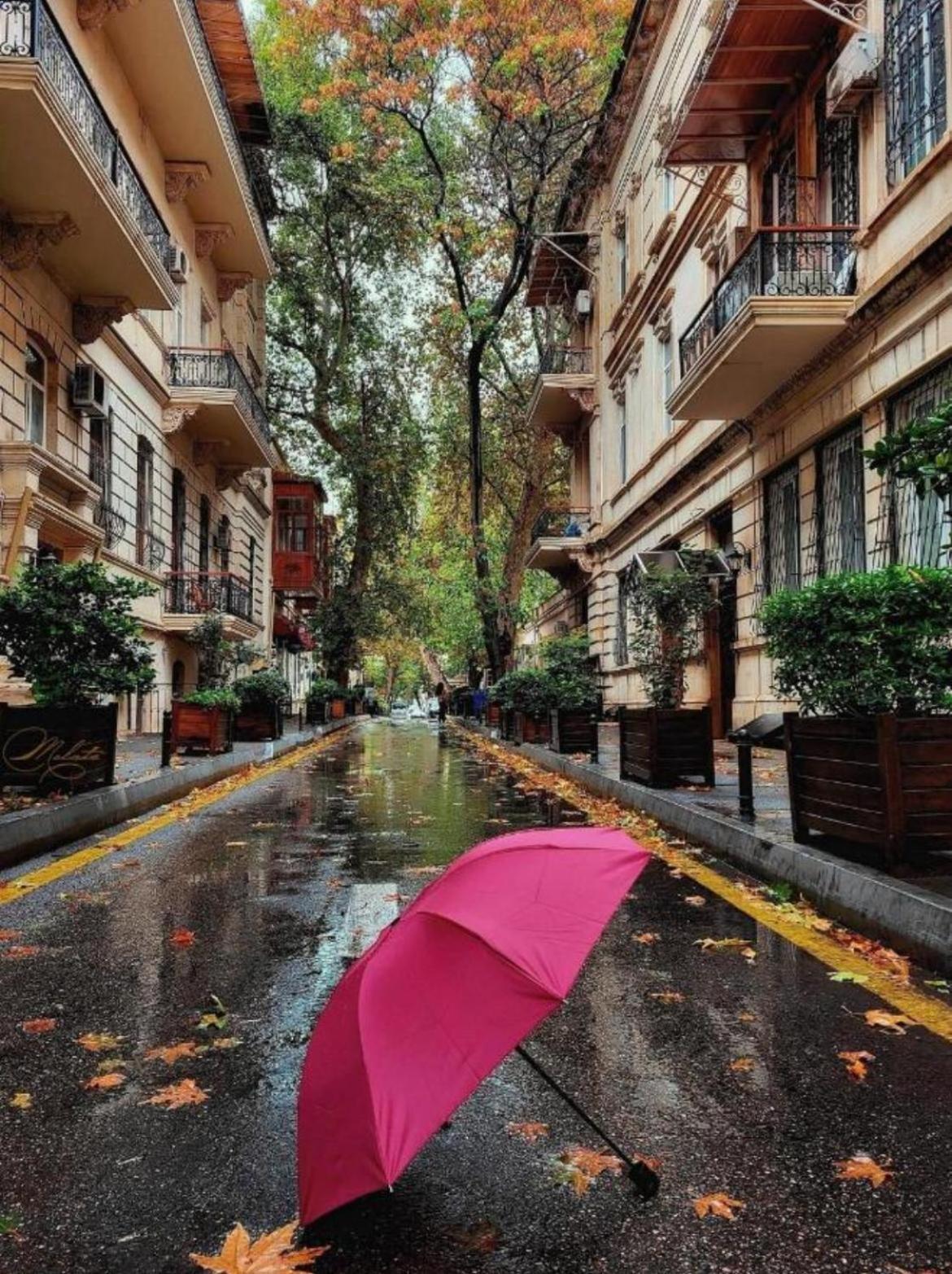 Sazeli Old Baku Hotel المظهر الخارجي الصورة